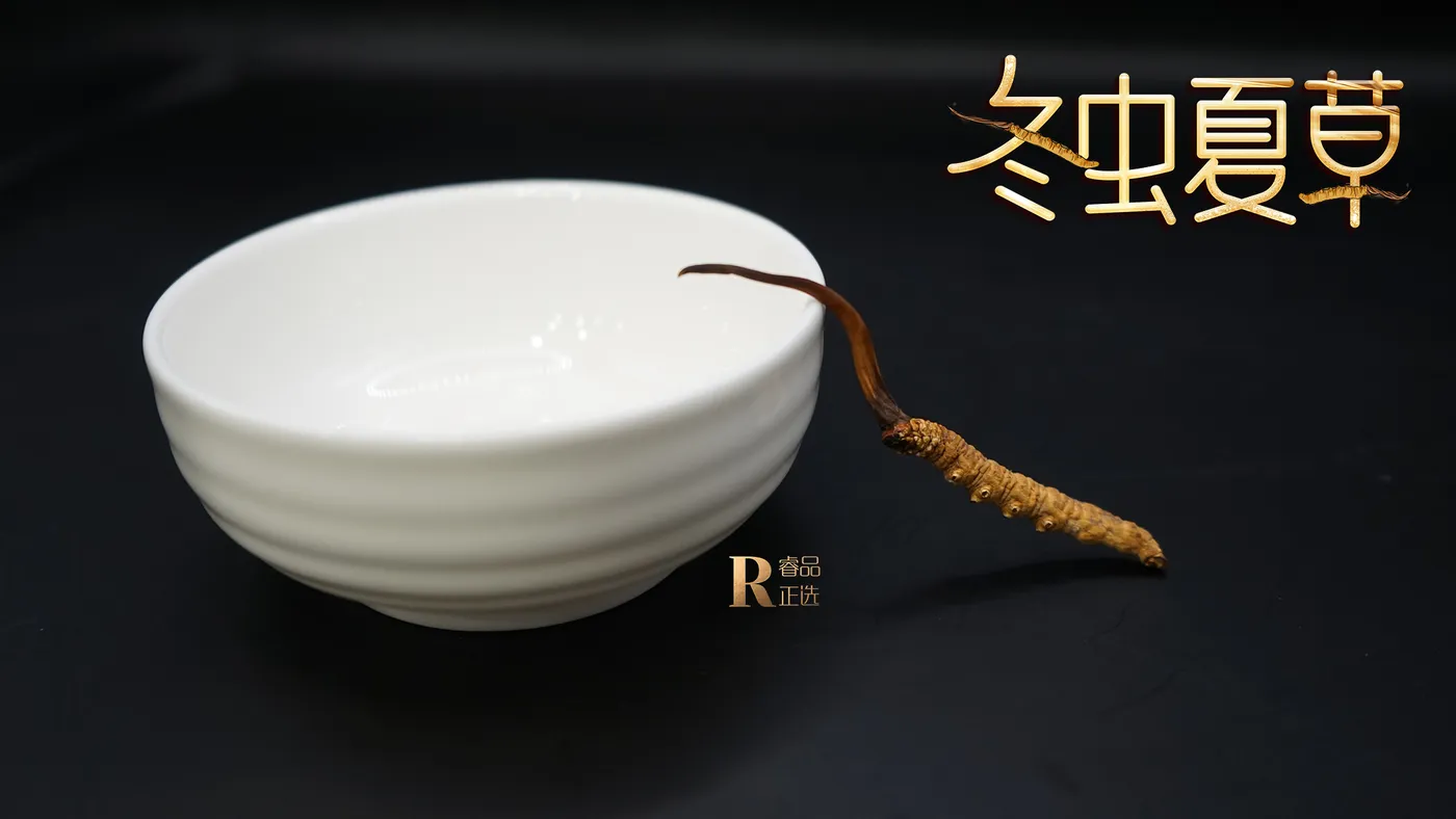 冬虫夏草产地科普：那曲、玉树与海拔的关系